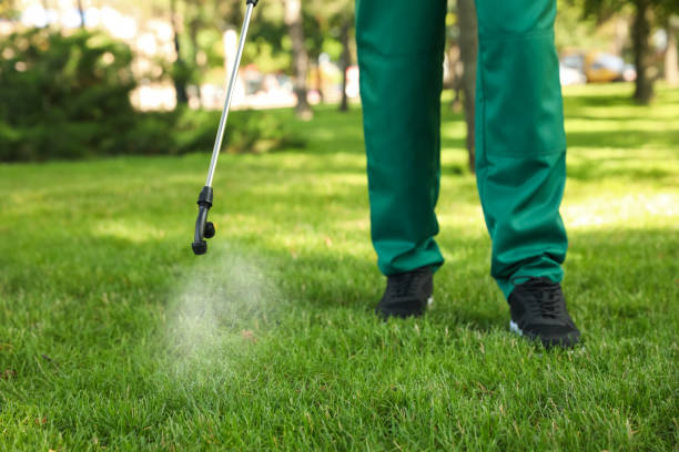 Best Ant Control Services  in Los Fresnos, TX