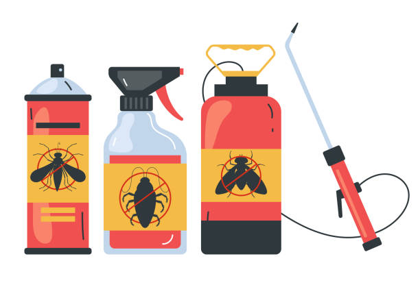 Insect Control in Los Fresnos, TX